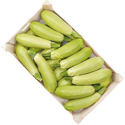  Кабачки ОПТ в интернет-магазине свежих фермерских продуктов Apeti.ru