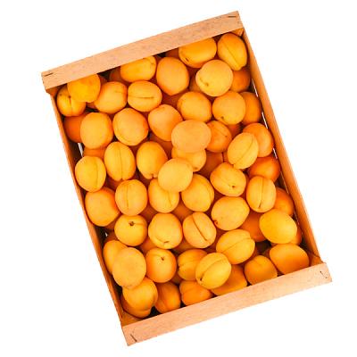  Абрикосы шалах, ящик в интернет-магазине свежих фермерских продуктов Apeti.ru
