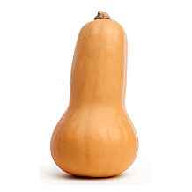 Тыква мускатная жемчужина