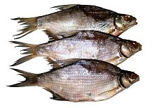 Густера вяленая крупная