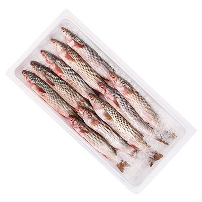 Кефаль мелкая ОПТ