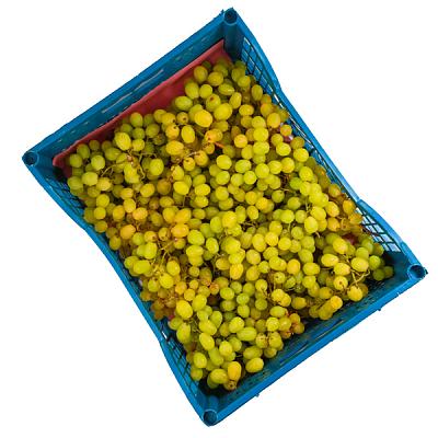  Виноград зеленый, ящик в интернет-магазине свежих фермерских продуктов Apeti.ru
