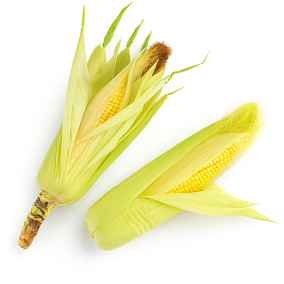 Кукуруза свежая 1 шт. в Apeti.ru  Кукуруза свежая 1 шт. в интернет-магазине свежих фермерских продуктов Apeti.ru