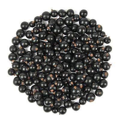 Смородина черная