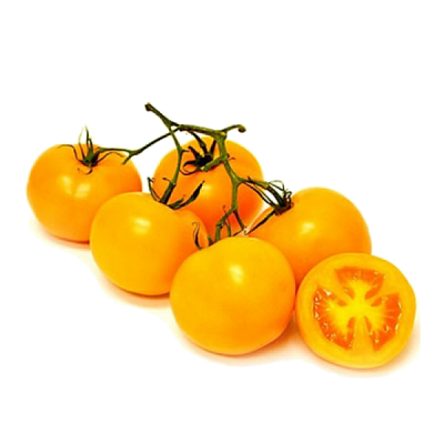  Томаты черри желтые на ветке в интернет-магазине свежих фермерских продуктов Apeti.ru