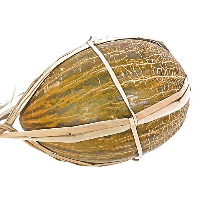 Дыня зимняя торпеда