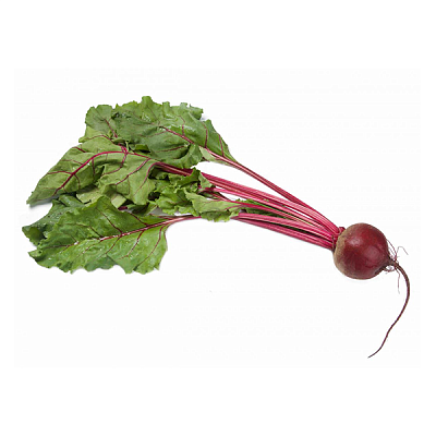 Свекла молодая с ботвой