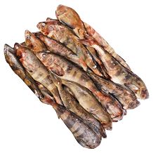 Терпуг Мурманск замороженный 0,6-0,8/L ОПТ