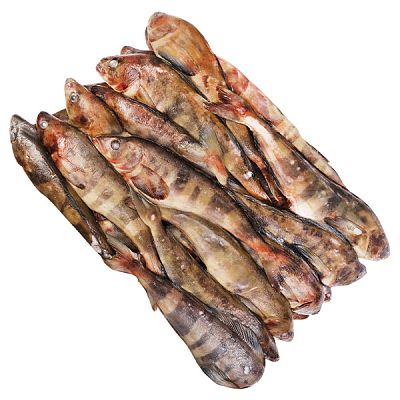 Терпуг Мурманск замороженный 0,6-0,8/L ОПТ