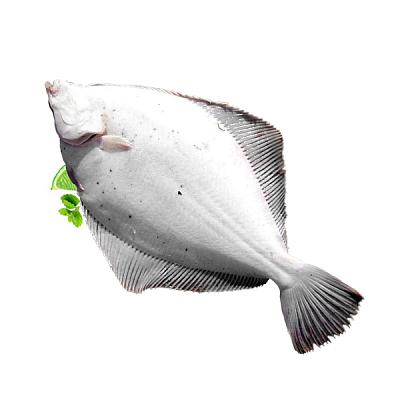  Камбала Камчатка охлажденная 1 кг в интернет-магазине свежих фермерских продуктов Apeti.ru