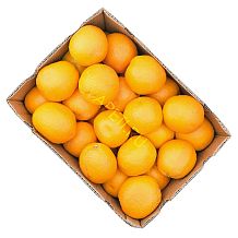 Апельсины (Турция) ОПТ