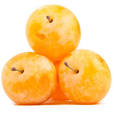 Слива желтая