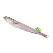 Путассу замороженная 23+ 1 кг