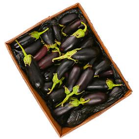  Баклажаны ОПТ в интернет-магазине свежих фермерских продуктов Apeti.ru