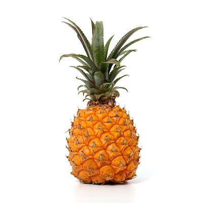  Ананас мини 1шт в интернет-магазине свежих фермерских продуктов Apeti.ru