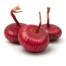 Лук красный «ялтинский»