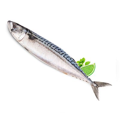 Скумбрия крупная мурманская замороженная 500+