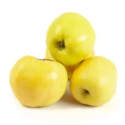  Яблоки богатырь в интернет-магазине свежих фермерских продуктов Apeti.ru