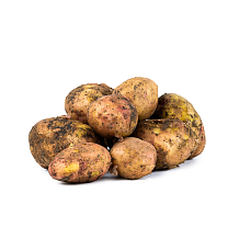 Картофель Азербайджан новый урожай