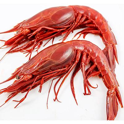  Креветки красные Карабинерос замороженные 10/22 1 кг в интернет-магазине свежих фермерских продуктов Apeti.ru