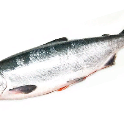  Нерка дальневосточная непотрошенная 1 кг в интернет-магазине свежих фермерских продуктов Apeti.ru