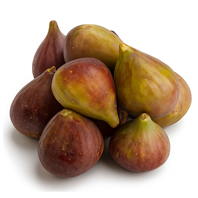 Инжир далматский