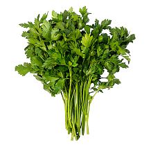Петрушка свежая