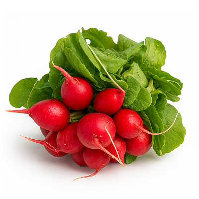  Редис с зеленью, пучок в интернет-магазине свежих фермерских продуктов Apeti.ru