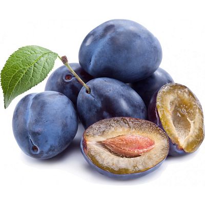 Слива Чернослив 