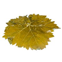 Виноградные листья соленые