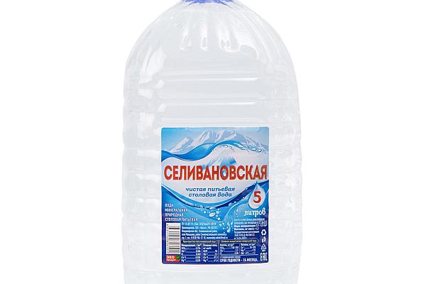  Вода Селивановская негазированная 5 л в интернет-магазине продуктов с Преображенского рынка Apeti.ru