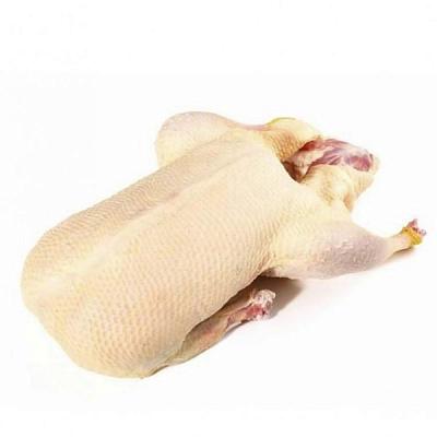 Утка домашняя замороженная в Apeti.ru Утка домашняя замороженная в интернет-магазине свежих фермерских продуктов Apeti.ru