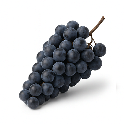 Виноград Изабелла в Apeti.ru Виноград Изабелла в интернет-магазине свежих фермерских продуктов Apeti.ru