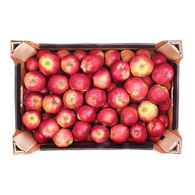  Яблоки малинка ОПТ в интернет-магазине свежих фермерских продуктов Apeti.ru