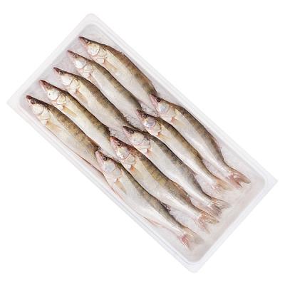 Судак азовский средний охлажденный ОПТ в Apeti.ru Судак азовский средний охлажденный ОПТ в интернет-магазине свежих фермерских продуктов Apeti.ru