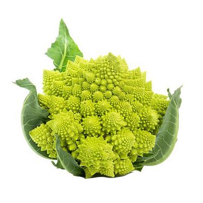  Капуста романеско в интернет-магазине свежих фермерских продуктов Apeti.ru