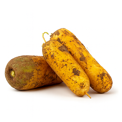  Морковь желтая в интернет-магазине свежих фермерских продуктов Apeti.ru