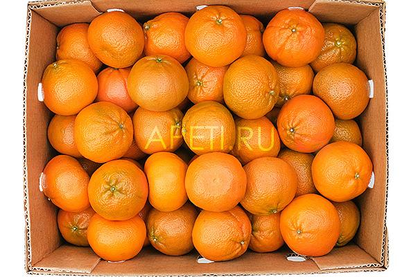  Мандарины (Турция) ОПТ в интернет-магазине продуктов с Преображенского рынка Apeti.ru