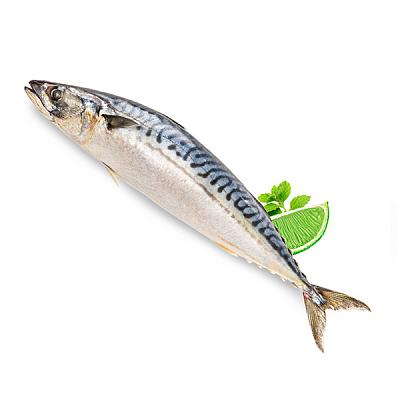  Скумбрия средняя дальневосточная замороженная 1 кг в интернет-магазине свежих фермерских продуктов Apeti.ru