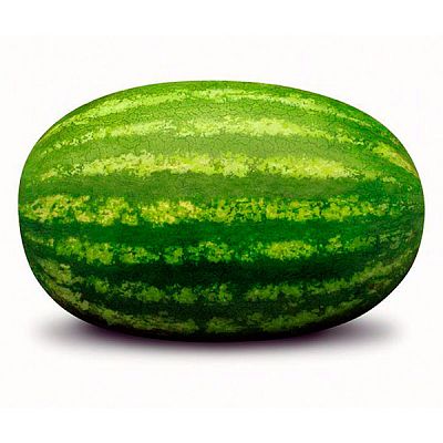 Арбуз холодок