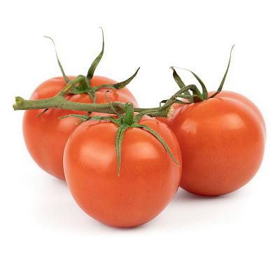  Помидоры на ветке в интернет-магазине свежих фермерских продуктов Apeti.ru