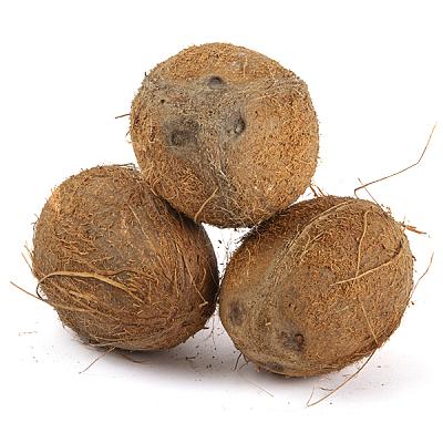  Кокос (ЮАР) 1 шт. в интернет-магазине свежих фермерских продуктов Apeti.ru