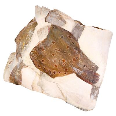  Камбала пестрая мурманская крупная ОПТ в интернет-магазине свежих фермерских продуктов Apeti.ru