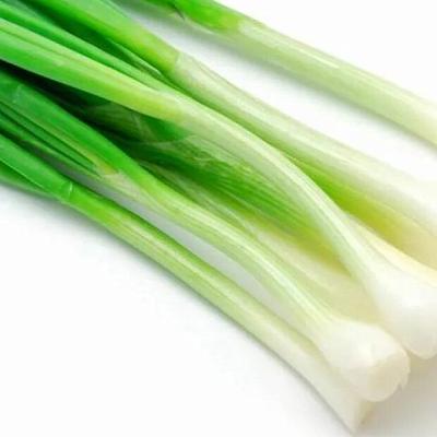  Лук зеленый Россия в интернет-магазине свежих фермерских продуктов Apeti.ru