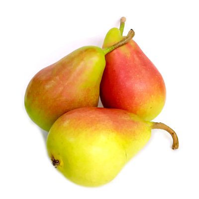 Груша Мурут