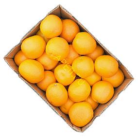  Апельсины (Турция) ОПТ в интернет-магазине свежих фермерских продуктов Apeti.ru