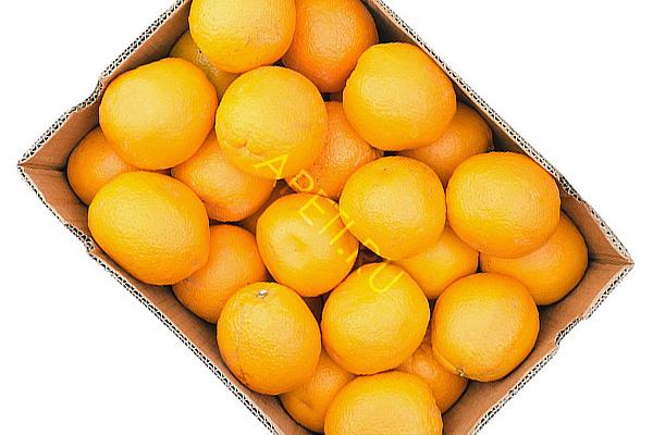  Апельсины (Турция) ОПТ в интернет-магазине продуктов с Преображенского рынка Apeti.ru