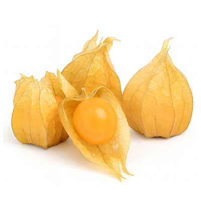  Физалис, ~100 гр в интернет-магазине свежих фермерских продуктов Apeti.ru