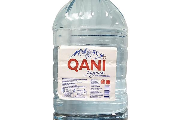  Вода питьевая Qani негазированная 5 л в интернет-магазине продуктов с Преображенского рынка Apeti.ru