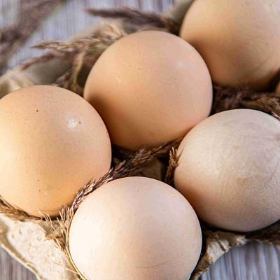  Яйцо куриное с двумя желтками десяток в интернет-магазине свежих фермерских продуктов Apeti.ru